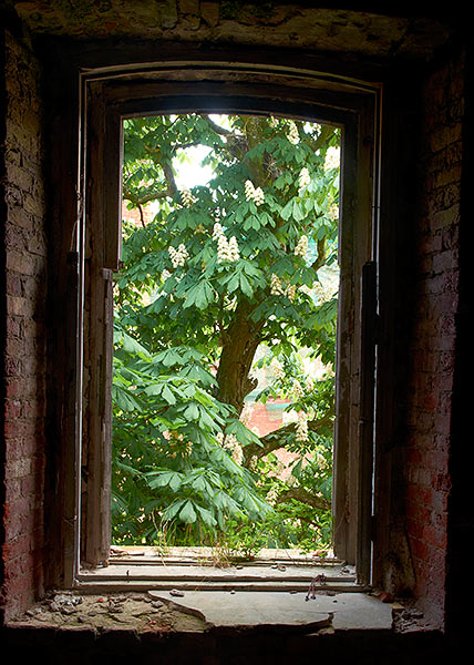 Window to the yard - Fort Alexander, Photo