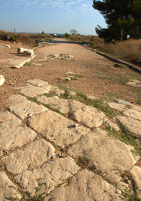 Cardo Street - Antipatris