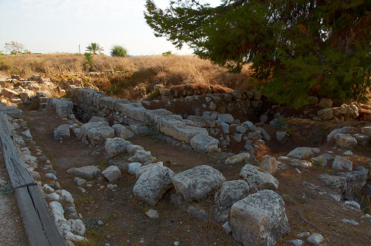 Urban development of Afek city - Antipatris