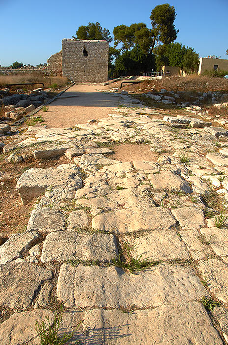 Road to the fortress - Antipatris