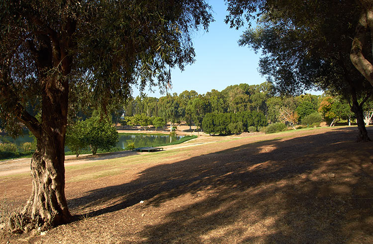 #27 - Yarkon National Park