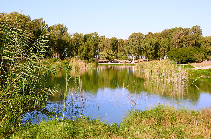 Lake Afek - Antipatris