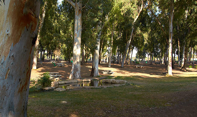 Landscapes of Yarkon Park.