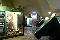 Замок Аренсбург - музей