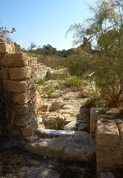 Door to the street - Caesarea