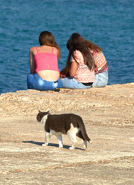 The pier - Caesarea