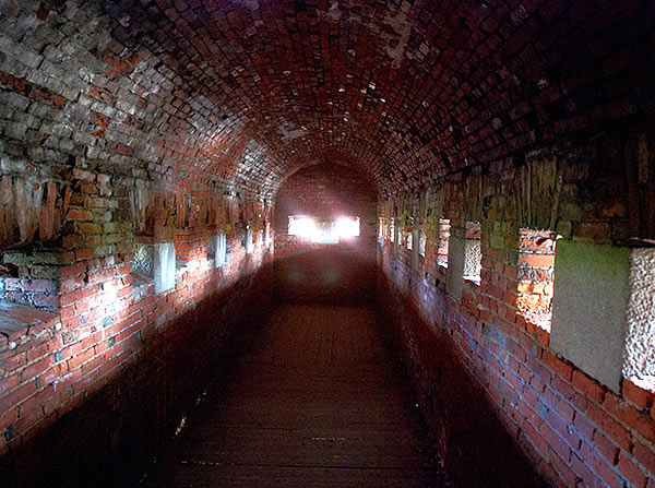 #29 - Shooting gallery