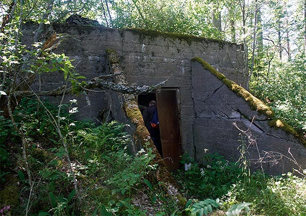 Bunker in the forest - Coastal Artillery