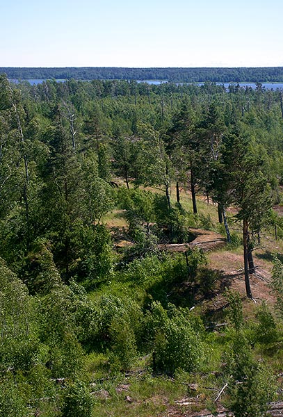 Views from the tower - Coastal Artillery