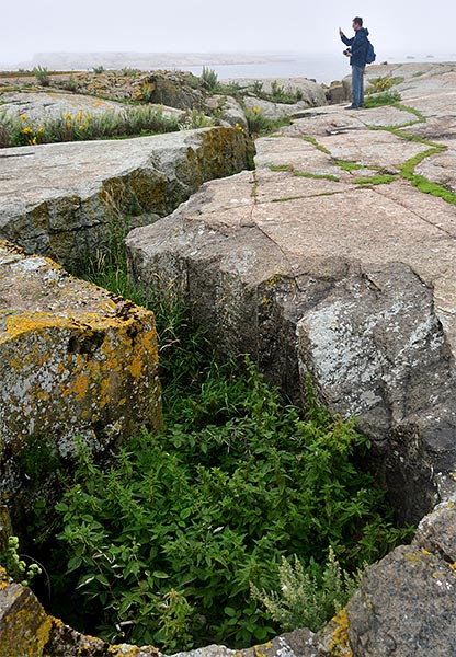 Island fortification - Coastal Artillery