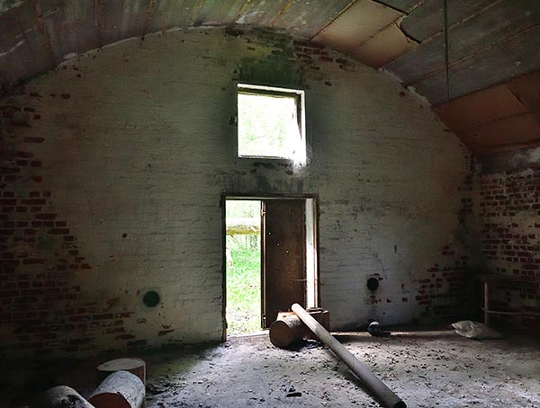 #44 - Shed's interiors