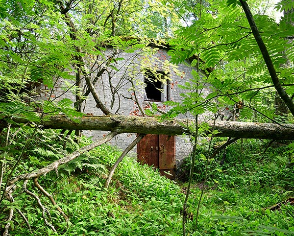 #43 - Shed