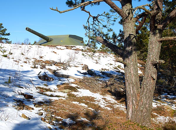 Guns of Jarflotta island - Coastal Artillery