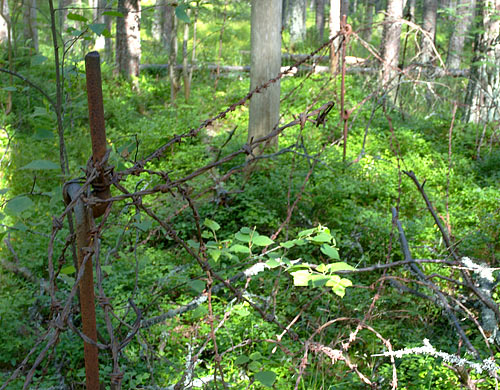 Barbed wire - Coastal Artillery