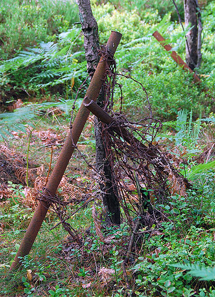 Anti-personnel obstacles - Coastal Artillery