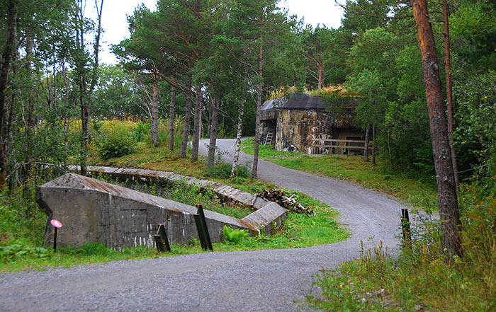 The road to the battery - Coastal Artillery