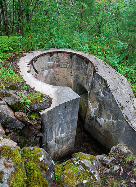 Rifle position in the forest - Coastal Artillery