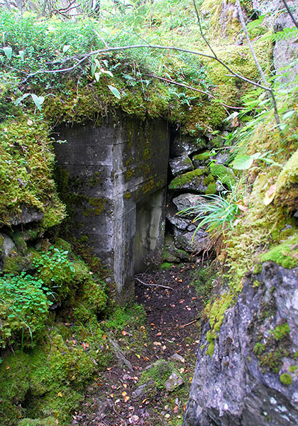 Trenches - Coastal Artillery