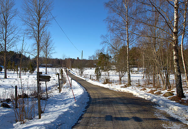 Road to the battery - Coastal Artillery