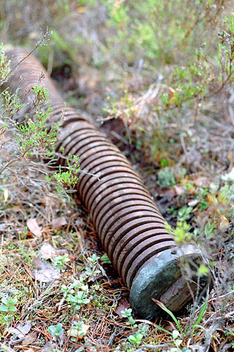 Action spring - Coastal Artillery