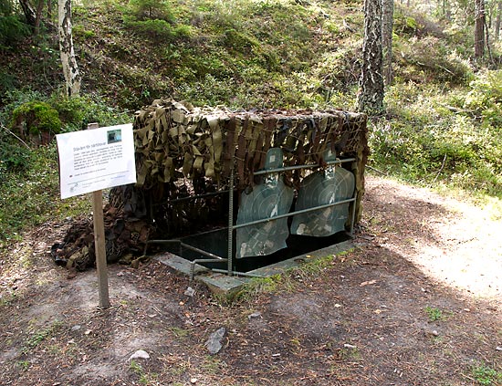 #49 - Foxhole