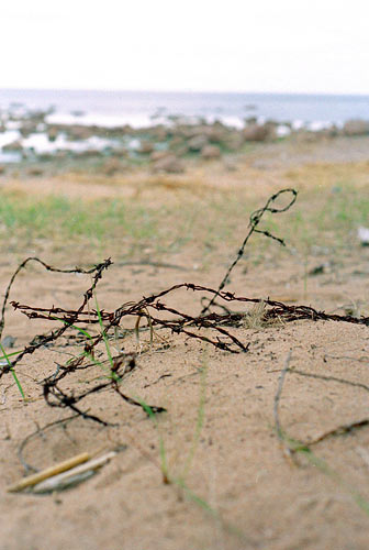 #21 - On the beach...