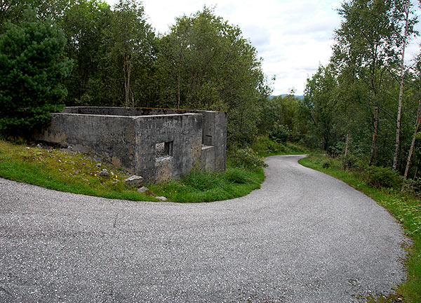 The road to the top - Coastal Artillery