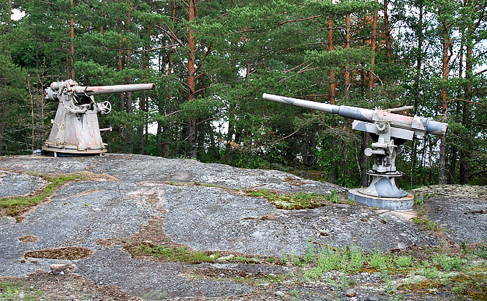 #46 - Artillery  exhibit