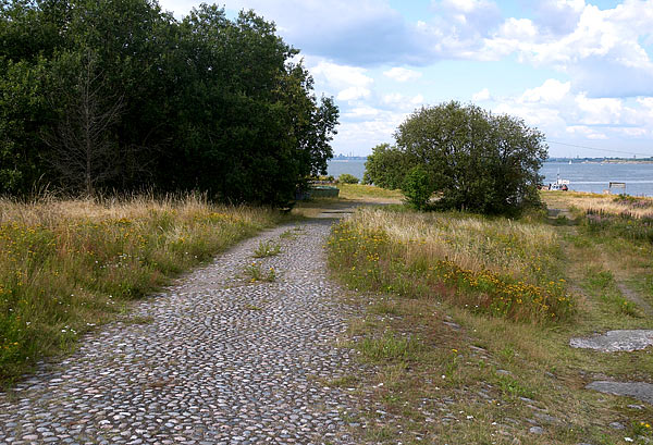 Old battery road - Coastal Artillery