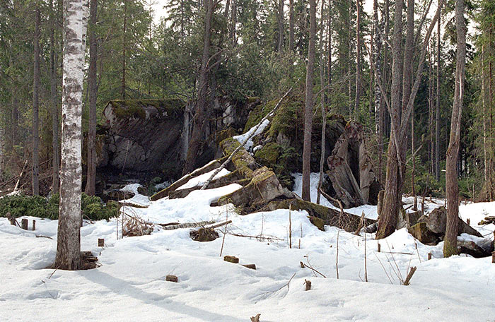 Ruins in the forest - Coastal Artillery