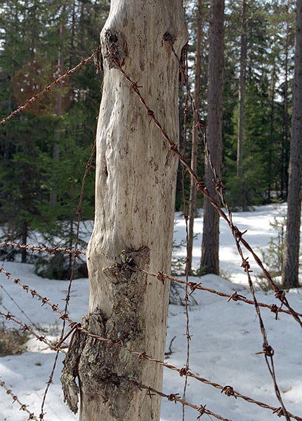 Old barbed wire - Coastal Artillery