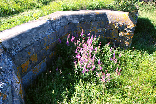 Emplacement - Coastal Artillery