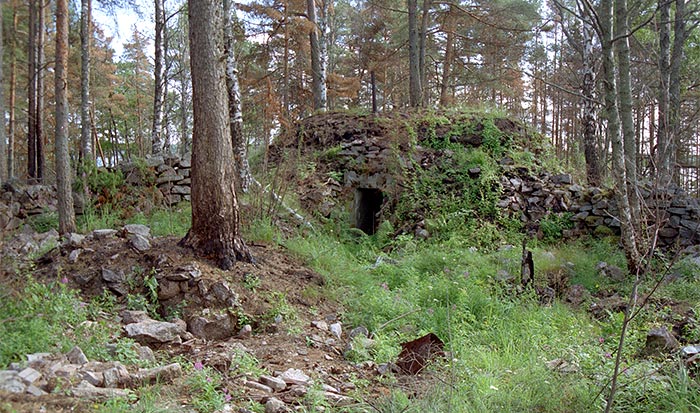 #34 - Wartime forest