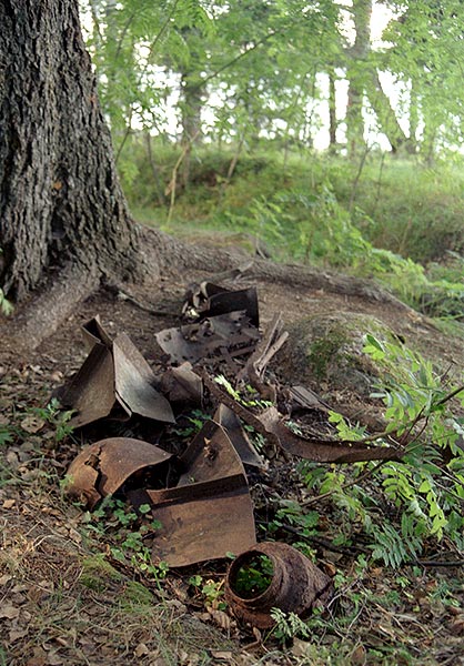 #37 - Rusty iron