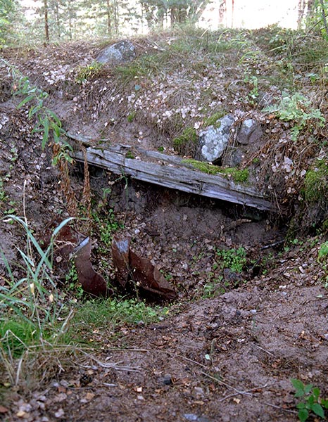 #41 - Dig out