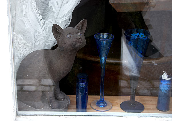 #74 - Cats in Halden