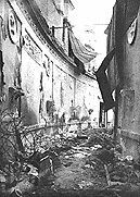      1944 