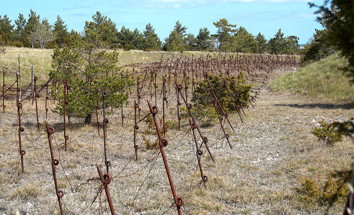 Infantry obstacles - Gotland fortifications