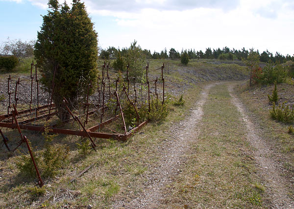 Road to the battery #2 - Gotland fortifications