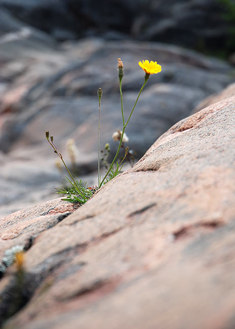 #3 - The nature 