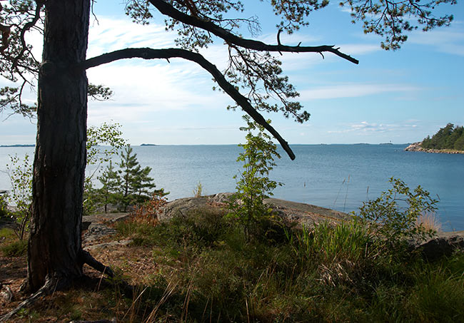 #35 - Baltic Sea