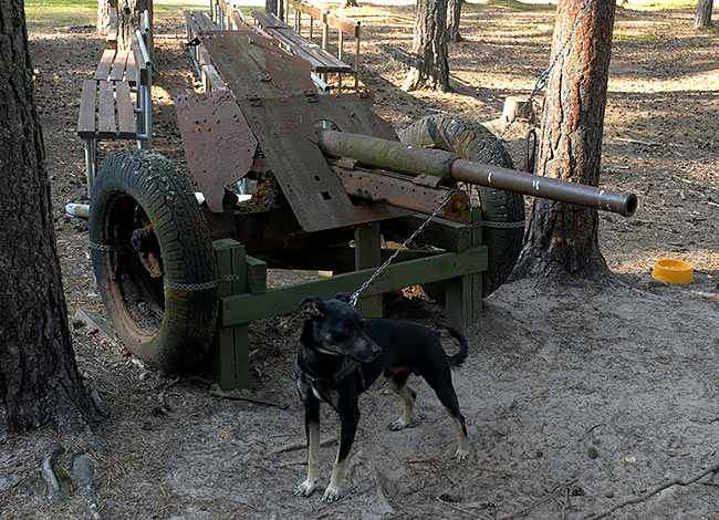 #6 - 45 mm Soviet Antitank gun