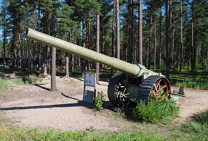 #8 - Ancient gun