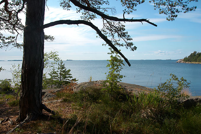 Forest road in the city of Hanko