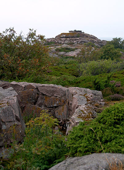 #23 - A view of the firepost from the depths of the island