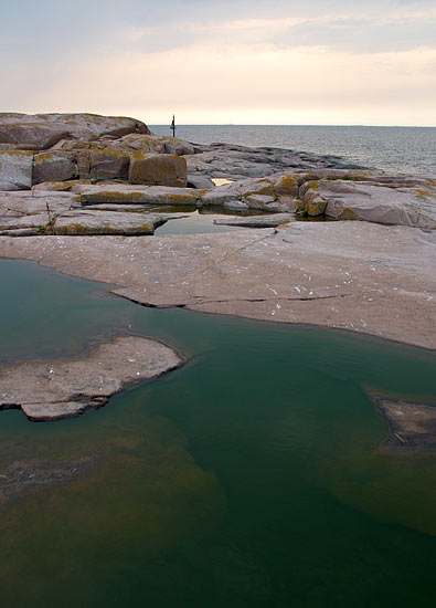 #28 - Northern nature