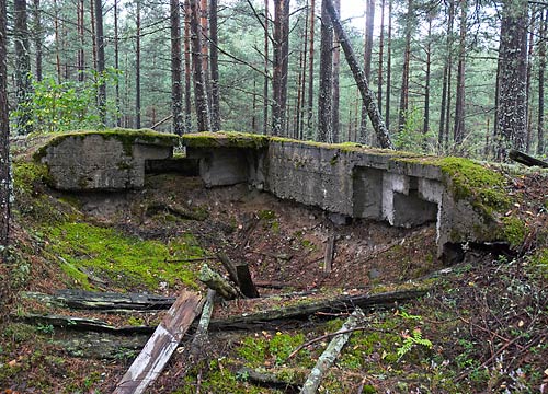#10 - MG/rifle position