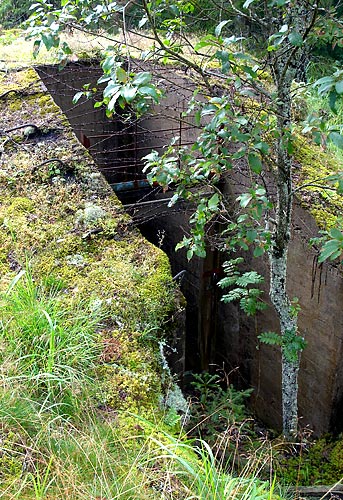 #6 - Entrance