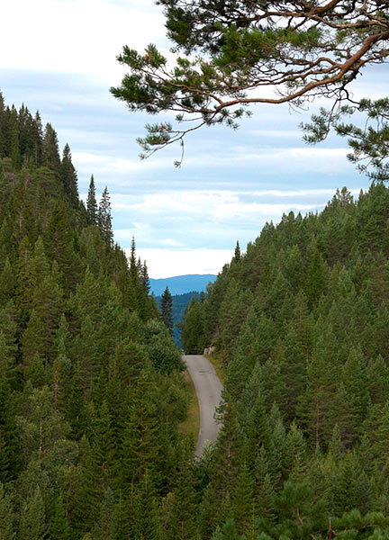 #1 - Way to the Hegra fortress