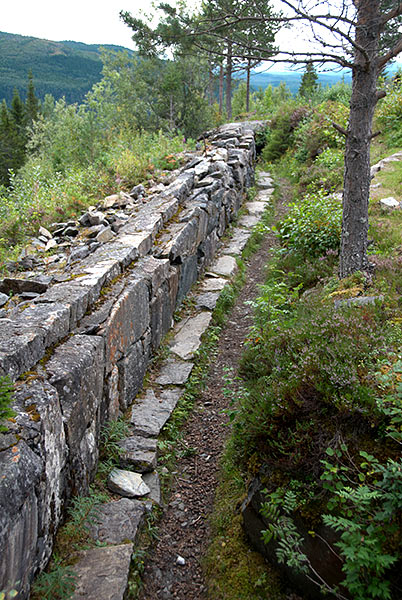 #7 - Rifle wall